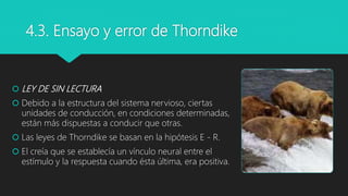 4.3. Ensayo y error de Thorndike
 LEY DE SIN LECTURA
 Debido a la estructura del sistema nervioso, ciertas
unidades de conducción, en condiciones determinadas,
están más dispuestas a conducir que otras.
 Las leyes de Thorndike se basan en la hipótesis E - R.
 El creía que se establecía un vínculo neural entre el
estímulo y la respuesta cuando ésta última, era positiva.
 