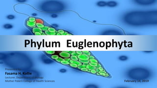 Phylum Euglenophyta
Presented by:
Fasama H. Kollie
Lecturer, Department of Biology
Mother Patern College of Health Sciences February 14, 2019
 