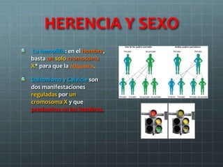 HERENCIA Y SEXO
La hemofilia: en el hombre,
basta un solo cromosoma
X* para que la adquiera.
Daltonismo y Calvicie son
dos manifestaciones
reguladas por un
cromosoma X y que
predomina en los hombres.
 
