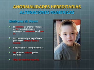 ANORMALIDADES HEREDITARIAS
ALTERACIONES NUMERICAS
Síndrome de Down.
El número de cromosomas es
de 47, localizándose el
cromosoma sobrante en el par
21.
Las personas que lo padecen
presentan retraso físico y
mental.
Reducción del tiempo de vida.
No pueden valerse por sí
mismos.
Hijos de mujeres mayores.
 