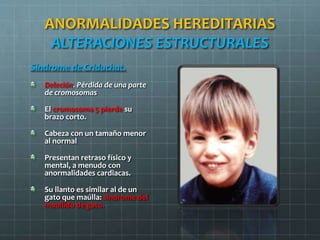 ANORMALIDADES HEREDITARIAS
ALTERACIONES ESTRUCTURALES
Síndrome de Criduchat.
Deleción. Pérdida de una parte
de cromosomas
El cromosoma 5 pierde su
brazo corto.
Cabeza con un tamaño menor
al normal
Presentan retraso físico y
mental, a menudo con
anormalidades cardiacas.
Su llanto es similar al de un
gato que maúlla: síndrome del
maullido de gato.
 