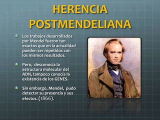 HERENCIA
POSTMENDELIANA
Los trabajos desarrollados
por Mendel fueron tan
exactos que en la actualidad
pueden ser repetidos con
los mismos resultados.
Pero, desconocía la
estructura molecular del
ADN, tampoco conocía la
existencia de los GENES.
Sin embargo, Mendel, pudo
detectar su presencia y sus
efectos. (1866).
 