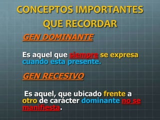 CONCEPTOS IMPORTANTES
QUE RECORDAR
GEN DOMINANTE
Es aquel que siempre se expresa
cuando esta presente.
GEN RECESIVO
Es aquel, que ubicado frente a
otro de carácter dominante no se
manifiesta.
 