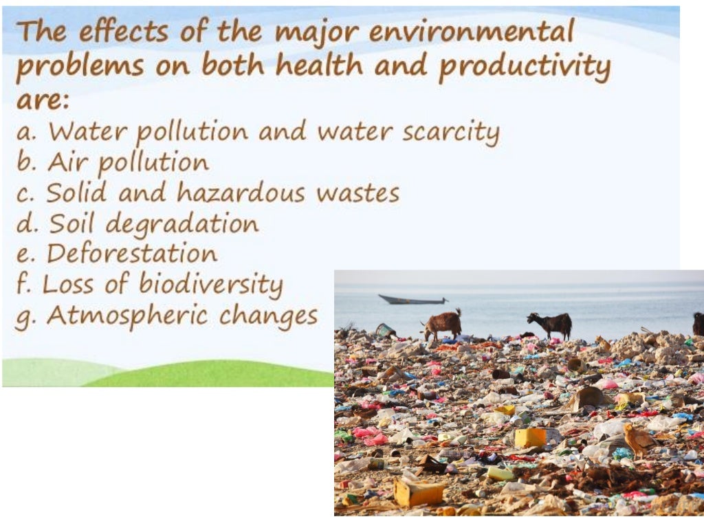 4. Environmental degradation