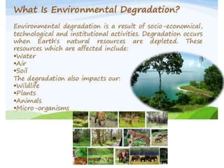 Environmental Degradation in Environmental Science | PPTX