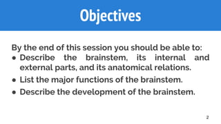 Objectives
By the end of this session you should be able to:
● Describe the brainstem, its internal and
external parts, and its anatomical relations.
● List the major functions of the brainstem.
● Describe the development of the brainstem.
2
 