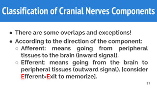 Classification of Cranial Nerves Components
● There are some overlaps and exceptions!
● According to the direction of the component:
○ Afferent: means going from peripheral
tissues to the brain (inward signal).
○ Efferent: means going from the brain to
peripheral tissues (outward signal). [consider
Efferent=Exit to memorize].
21
 