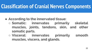 Classification of Cranial Nerves Components
● According to the innervated tissue:
○ Somatic: innervates primarily skeletal
muscles, joints, tendons, skin, and other
somatic parts.
○ Visceral: innervates primarily smooth
muscles, viscera, and glands.
22
 