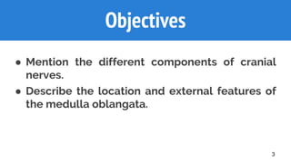 3
Objectives
● Mention the different components of cranial
nerves.
● Describe the location and external features of
the medulla oblangata.
 