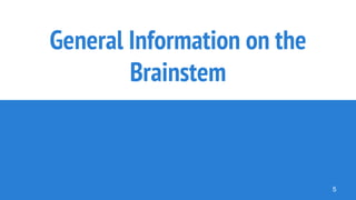 General Information on the
Brainstem
5
 