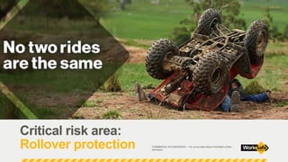 Regulating Critical Risk | PPT