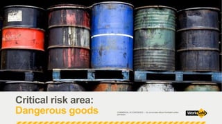 Regulating Critical Risk | PPT