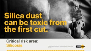 Regulating Critical Risk | PPT