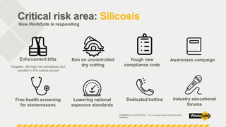 Regulating Critical Risk | PPT