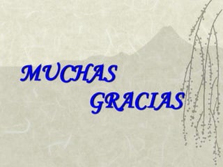 MUCHAS
GRACIAS
 