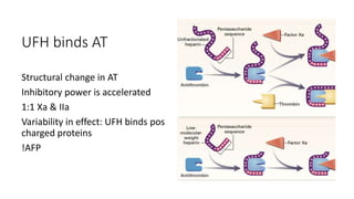 UFH binds AT
Structural change in AT
Inhibitory power is accelerated
1:1 Xa & IIa
Variability in effect: UFH binds pos
charged proteins
!AFP
 