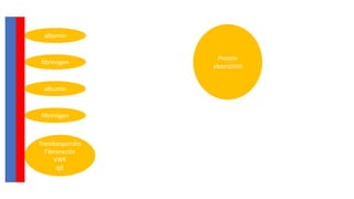 Protein
absorption
albumin
fibrinogen
albumin
fibrinogen
Trombospondin
Fibronectin
VWF
IgE
 