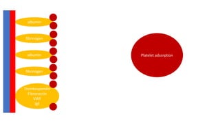 albumin
fibrinogen
albumin
fibrinogen
Trombospondin
Fibronectin
VWF
IgE
Platelet adsorption
 