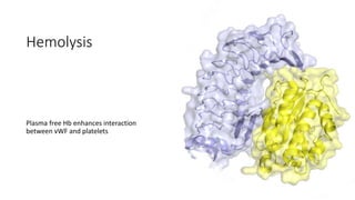 Hemolysis
Plasma free Hb enhances interaction
between vWF and platelets
 