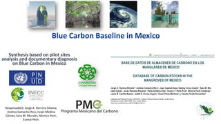 Blue Carbon in Mexico: A Synthesis
