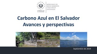 Carbono Azul en El Salvador
Avances y perspectivas
Septiembre de 2019
 