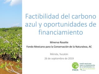 Factibilidad del carbono
azul y oportunidades de
financiamiento
Minerva Rosette
Fondo Mexicano para la Conservación de la Naturaleza, AC
Mérida, Yucatán
26 de septiembre de 2019
 