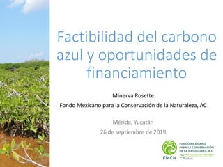 Factibilidad del carbono
azul y oportunidades de
financiamiento
Minerva Rosette
Fondo Mexicano para la Conservación de la ...