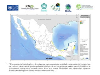 Factibilidad del carbono azul y oportunidades de financiamiento