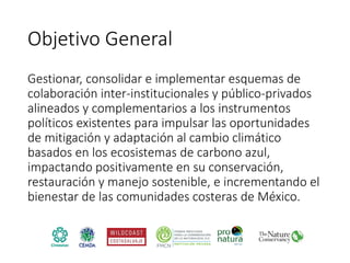 Factibilidad del carbono azul y oportunidades de financiamiento