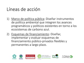 Factibilidad del carbono azul y oportunidades de financiamiento