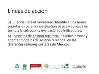 Factibilidad del carbono azul y oportunidades de financiamiento