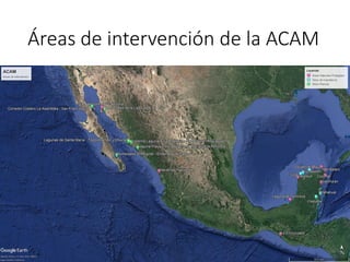 Factibilidad del carbono azul y oportunidades de financiamiento