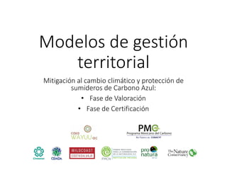 Factibilidad del carbono azul y oportunidades de financiamiento