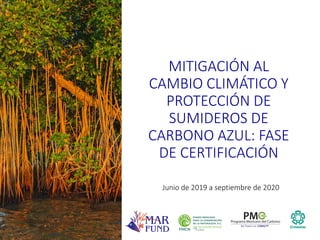 Factibilidad del carbono azul y oportunidades de financiamiento