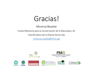 Factibilidad del carbono azul y oportunidades de financiamiento