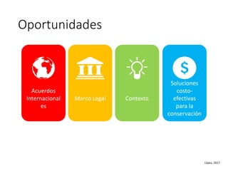 Oportunidades
Acuerdos
Internacional
es
ContextoMarco Legal
Soluciones
costo-
efectivas
para la
conservación
López, 2017
 