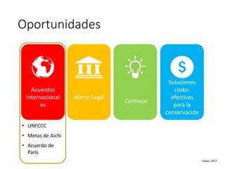 Factibilidad del carbono azul y oportunidades de financiamiento