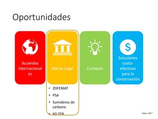 Factibilidad del carbono azul y oportunidades de financiamiento