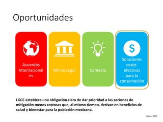 Factibilidad del carbono azul y oportunidades de financiamiento