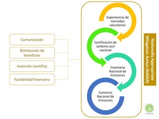 Factibilidad del carbono azul y oportunidades de financiamiento