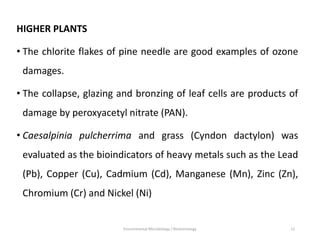 HIGHER PLANTS
• The chlorite flakes of pine needle are good examples of ozone
damages.
• The collapse, glazing and bronzing of leaf cells are products of
damage by peroxyacetyl nitrate (PAN).
• Caesalpinia pulcherrima and grass (Cyndon dactylon) was
evaluated as the bioindicators of heavy metals such as the Lead
(Pb), Copper (Cu), Cadmium (Cd), Manganese (Mn), Zinc (Zn),
Chromium (Cr) and Nickel (Ni)
Environmental Microbiology / Biotechnology 13
 