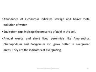 • Abundance of Eichhornia indicates sewage and heavy metal
pollution of water.
• Equisetum spp. Indicate the presence of gold in the soil.
• Annual weeds and short lived perennials like Amaranthus,
Chenopodium and Polygonum etc. grow better in overgrazed
areas. They are the indicators of overgrazing .
Environmental Microbiology / Biotechnology 14
 