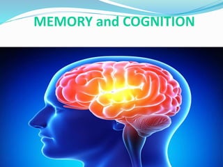 Memory and Cognition | PPT