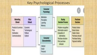 Key Psychological Processes
 