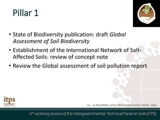 Pillar 1
• State of Biodiversity publication: draft Global
Assessment of Soil Biodiversity
• Establishment of the International Network of Salt-
Affected Soils: review of concept note
• Review the Global assessment of soil pollution report
 