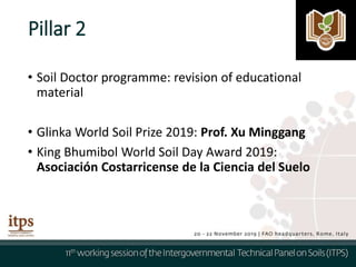 Pillar 2
• Soil Doctor programme: revision of educational
material
• Glinka World Soil Prize 2019: Prof. Xu Minggang
• King Bhumibol World Soil Day Award 2019:
Asociación Costarricense de la Ciencia del Suelo
 