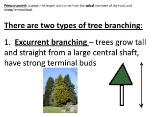 Biology Lessons 4.1and4.2 | PPTX
