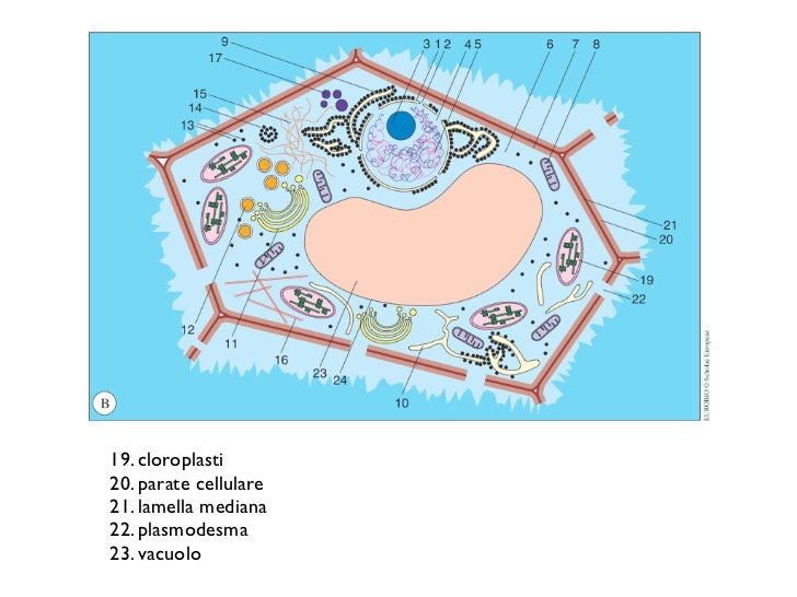 pdf encyclopedia of contemporary chinese culture