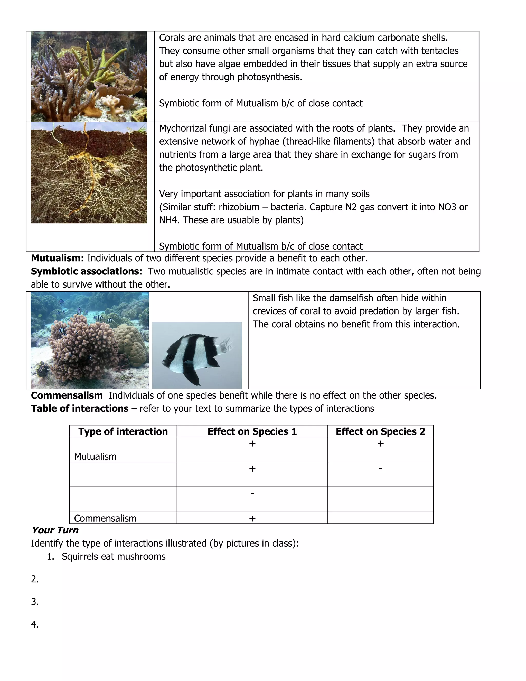 Corals are animals that are encased in hard calcium carbonate shells.
                                 They consume other small organisms that they can catch with tentacles
                                 but also have algae embedded in their tissues that supply an extra source
                                 of energy through photosynthesis.

                                 Symbiotic form of Mutualism b/c of close contact

                                 Mychorrizal fungi are associated with the roots of plants. They provide an
                                 extensive network of hyphae (thread-like filaments) that absorb water and
                                 nutrients from a large area that they share in exchange for sugars from
                                 the photosynthetic plant.

                                 Very important association for plants in many soils
                                 (Similar stuff: rhizobium – bacteria. Capture N2 gas convert it into NO3 or
                                 NH4. These are usuable by plants)

                               Symbiotic form of Mutualism b/c of close contact
Mutualism: Individuals of two different species provide a benefit to each other.
Symbiotic associations: Two mutualistic species are in intimate contact with each other, often not being
able to survive without the other.
                                                    Small fish like the damselfish often hide within
                                                    crevices of coral to avoid predation by larger fish.
                                                    The coral obtains no benefit from this interaction.




Commensalism Individuals of one species benefit while there is no effect on the other species.
Table of interactions – refer to your text to summarize the types of interactions

            Type of interaction              Effect on Species 1           Effect on Species 2
                                                      +                             +
           Mutualism
                                                       +                              -

                                                        -

           Commensalism                                 +
Your Turn
Identify the type of interactions illustrated (by pictures in class):
   1. Squirrels eat mushrooms

2.

3.

4.
 
