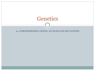 4.1 CHROMOSOMES, GENES, ALLELES AND MUTATIONS Genetics 